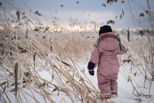 Toddler girl in anorak standing among frozen reeds