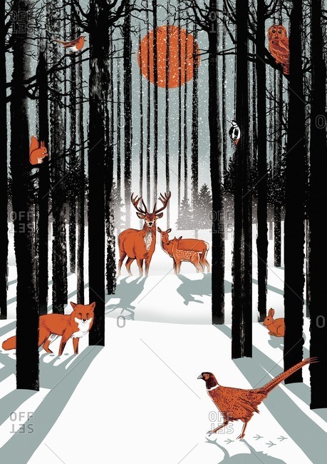 Group of animals in forest in winter