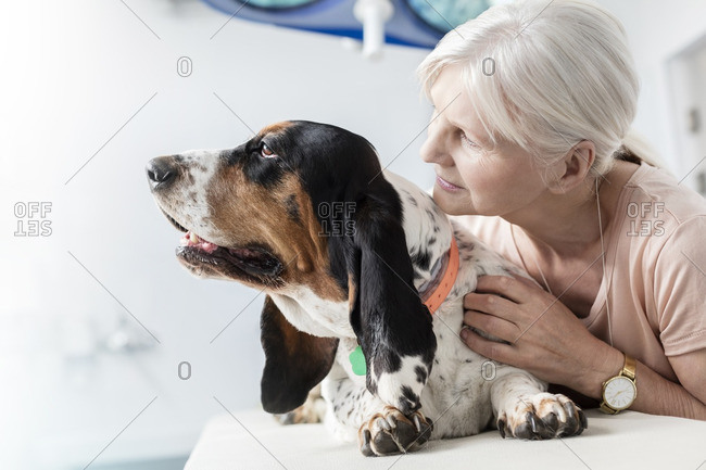 Senior woman soothing dog in veterinary clinic