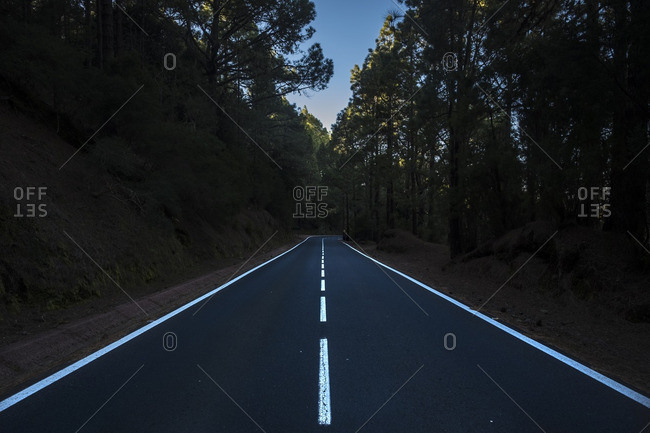 Two lane highway through woods in Teide National Park