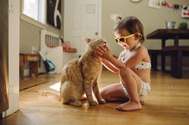 cat wearing bathing suit