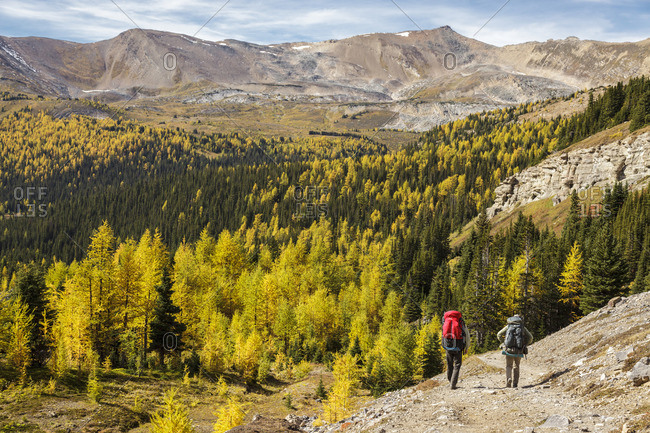 Banff National Park, Alberta Canada - September 18, 2012: Two back packers descend the trail from Baker Lake in the Skoki wilderness area