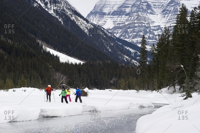 British Columbia, Canada - February 1, 2014: A group of cross country skiers explore 'Jackman Flats' near Valemount, Thompson Okanagan region