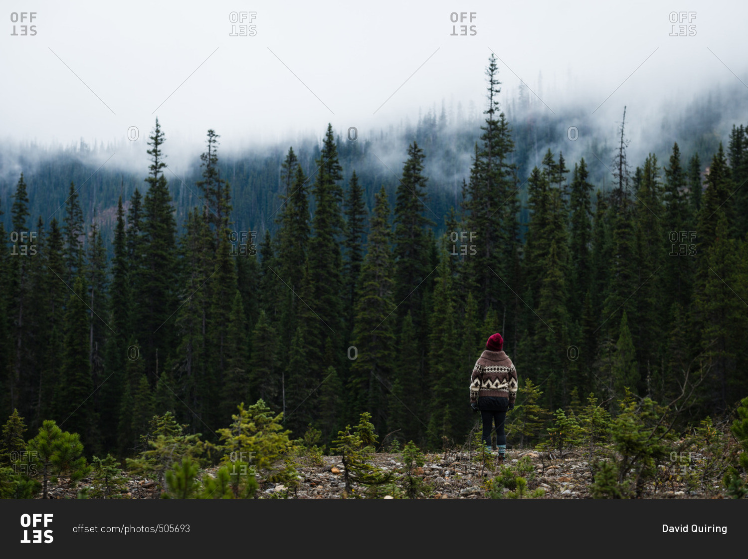 Woman looking up at misty clouds covering mountains above evergreen forest