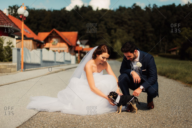 Couple petting a dog dressed in tuxedo outfit