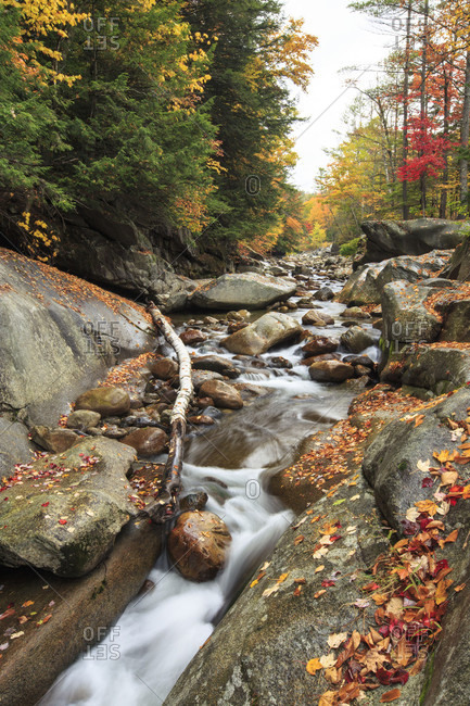 A stream trickles through colorful new Hampshire during the fall season