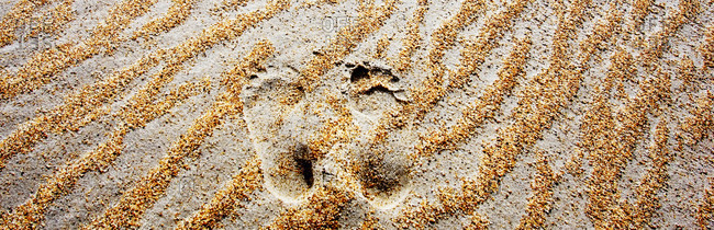 Foot prints on sand patterns of great ocean beach