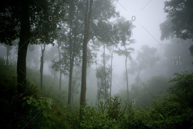 Myanmar landscape