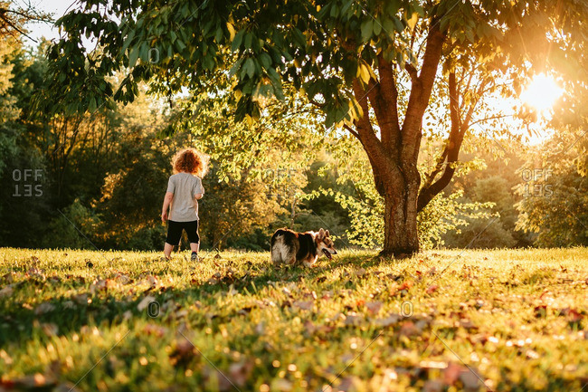 Boy and his dog walking in a yard beneath trees