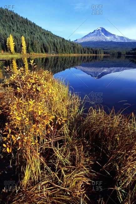 Trillium Lake, Mount Hood, Mount Hood National Forest, Oregon, Usa