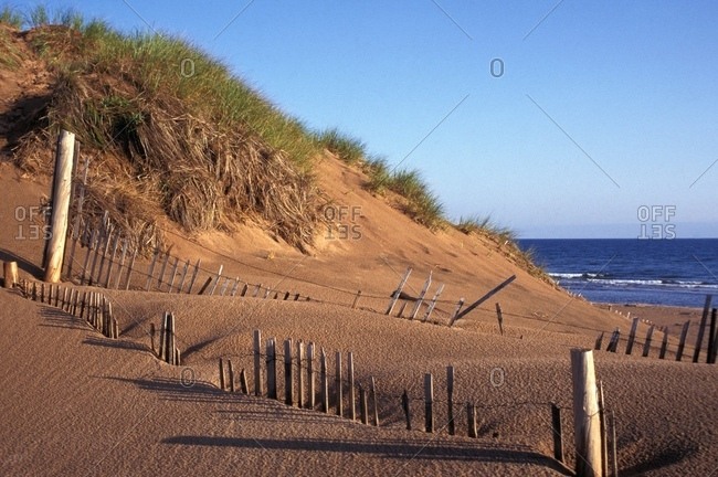 Sand Dunes And Shore