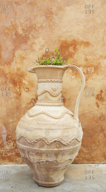 Earthenware pot and plant against distressed paint wall