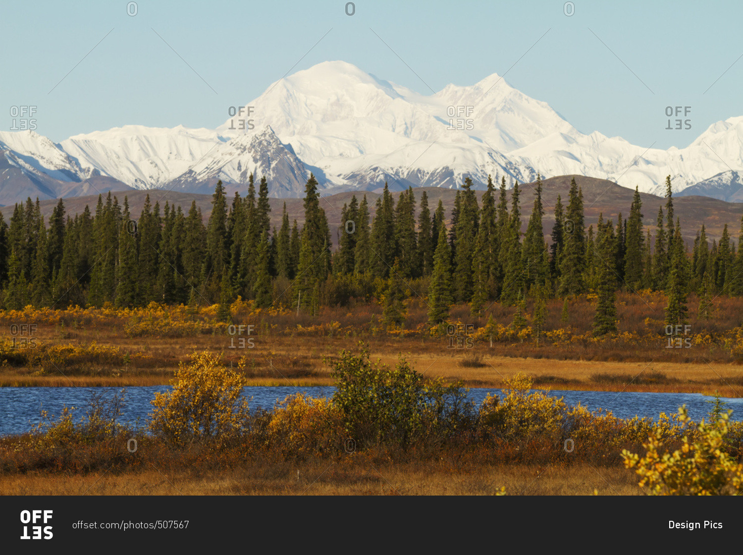 Denali towers over a small pond and spruce trees in interior Alaska in autumn, view from the Parks Highway south of Cantwell; Alaska, United States of America