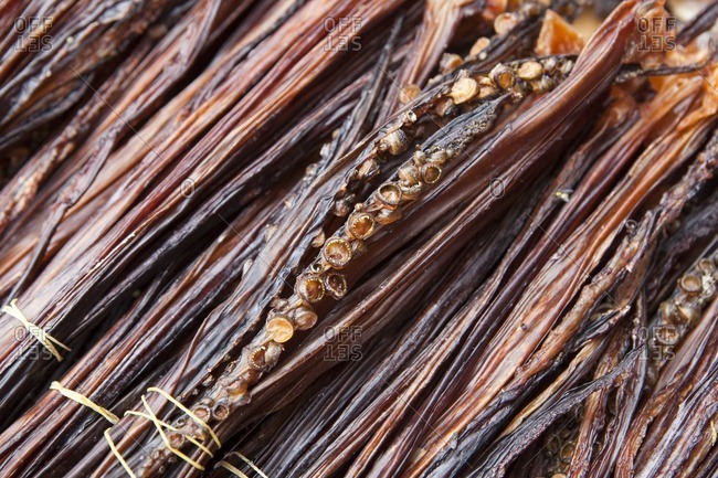 Dried octopus in Jagalchi seafood market for sale, Busan Korea.