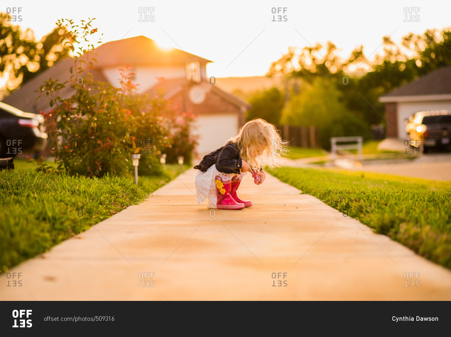 Girl watching insects on sidewalk