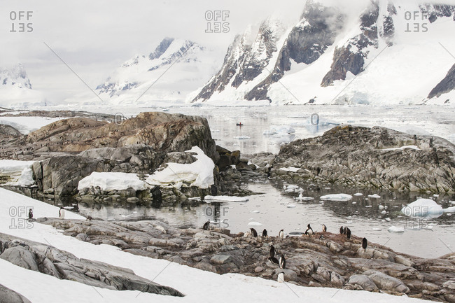 Petermann Island, Antarctica