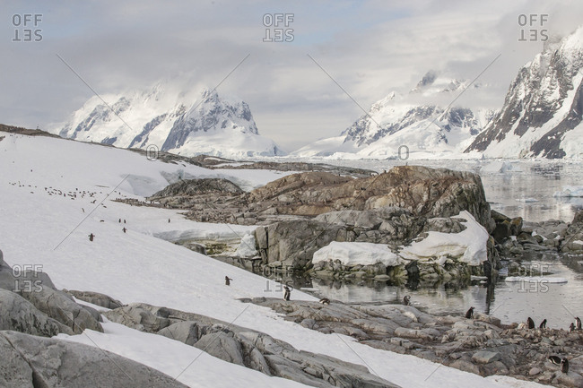 Petermann Island, Antarctica