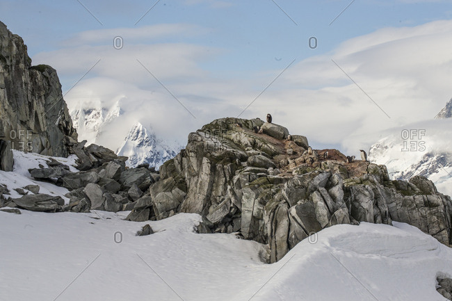 Petermann Island, Antarctica