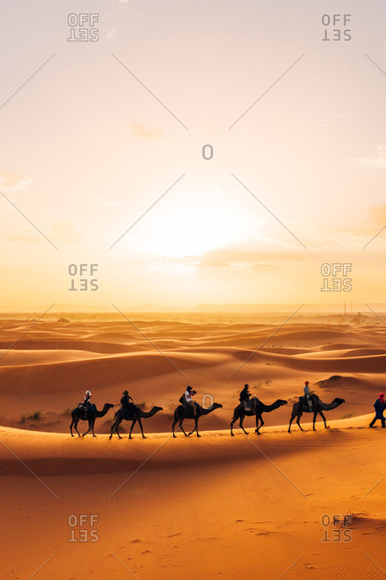 Morocco - October 27, 2015: Camelcade crosses sand dune at desert