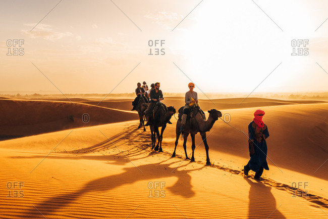Morocco - October 27, 2015: Camelcade crosses sand dune at desert