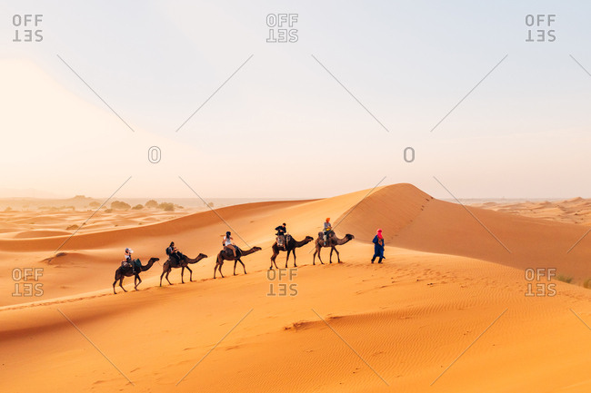 Morocco - October 27, 2015: Camelcade crosses sand dune at desert