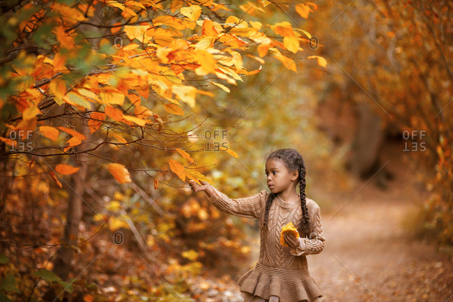 Girl picking fall leaf in forest setting