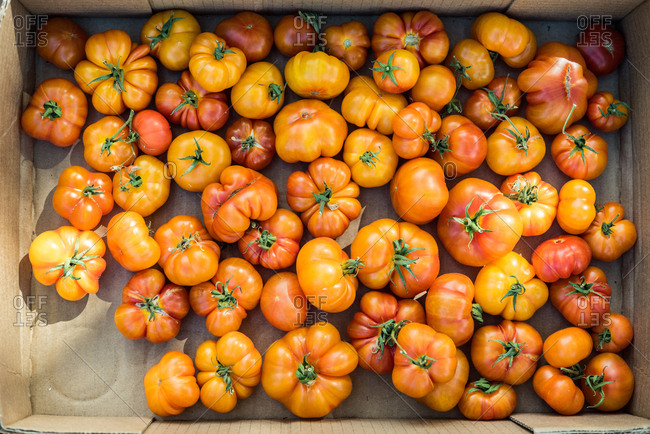 Overhead view of a box of heirloom tomatoes