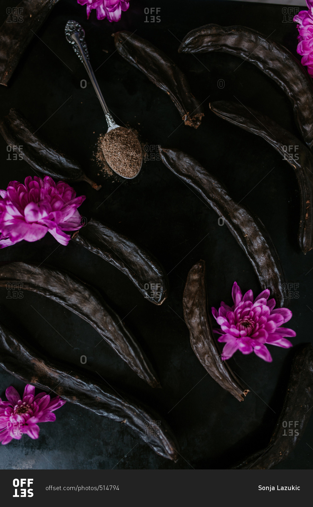 Dried carob pods and a spoonful of carob powder with purple flowers