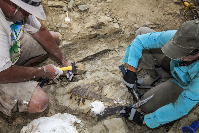 paleontologist digging