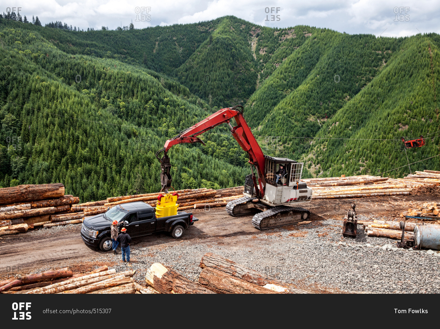 A logging worksite near forest