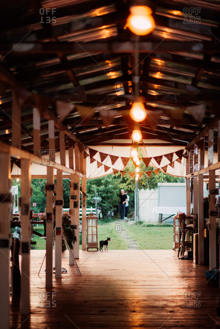 Cat Walking On A Covered Porch At A Wedding Reception Stock