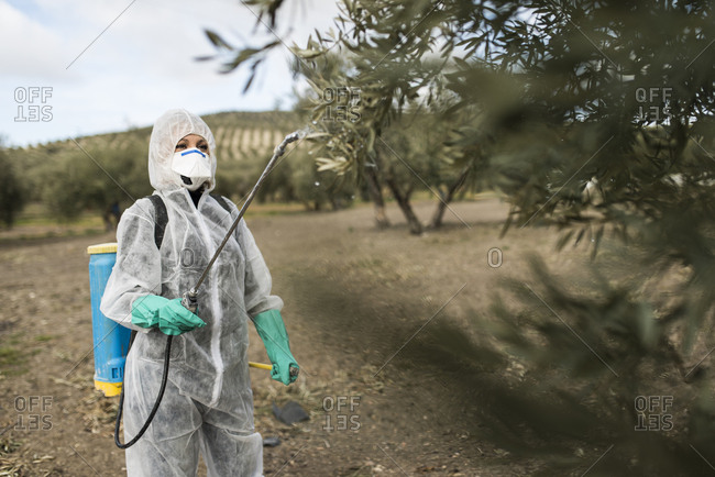 Woman wearing protective overall to fumigate olive trees