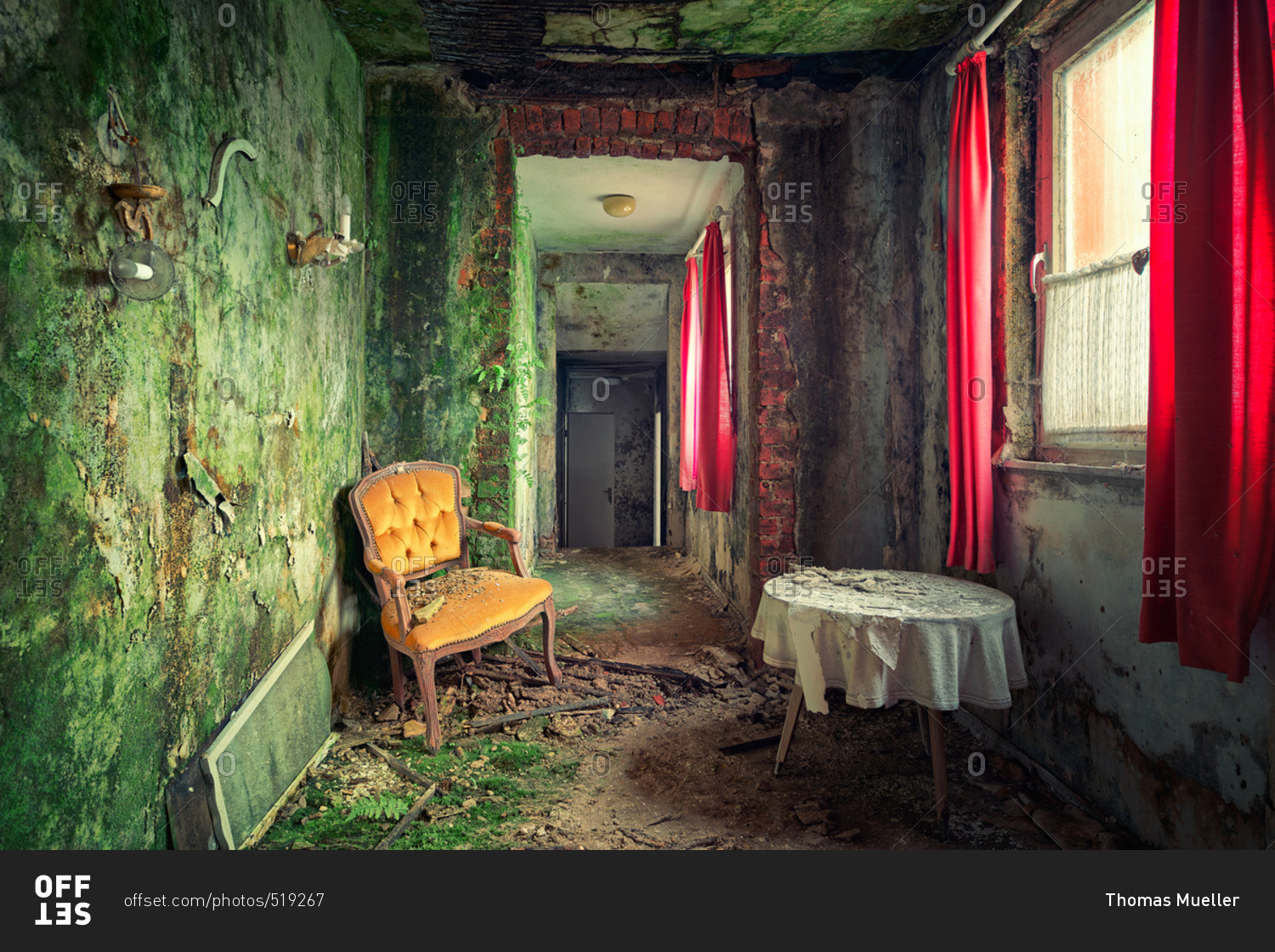 Table and chair in abandoned house with moss growing on the walls