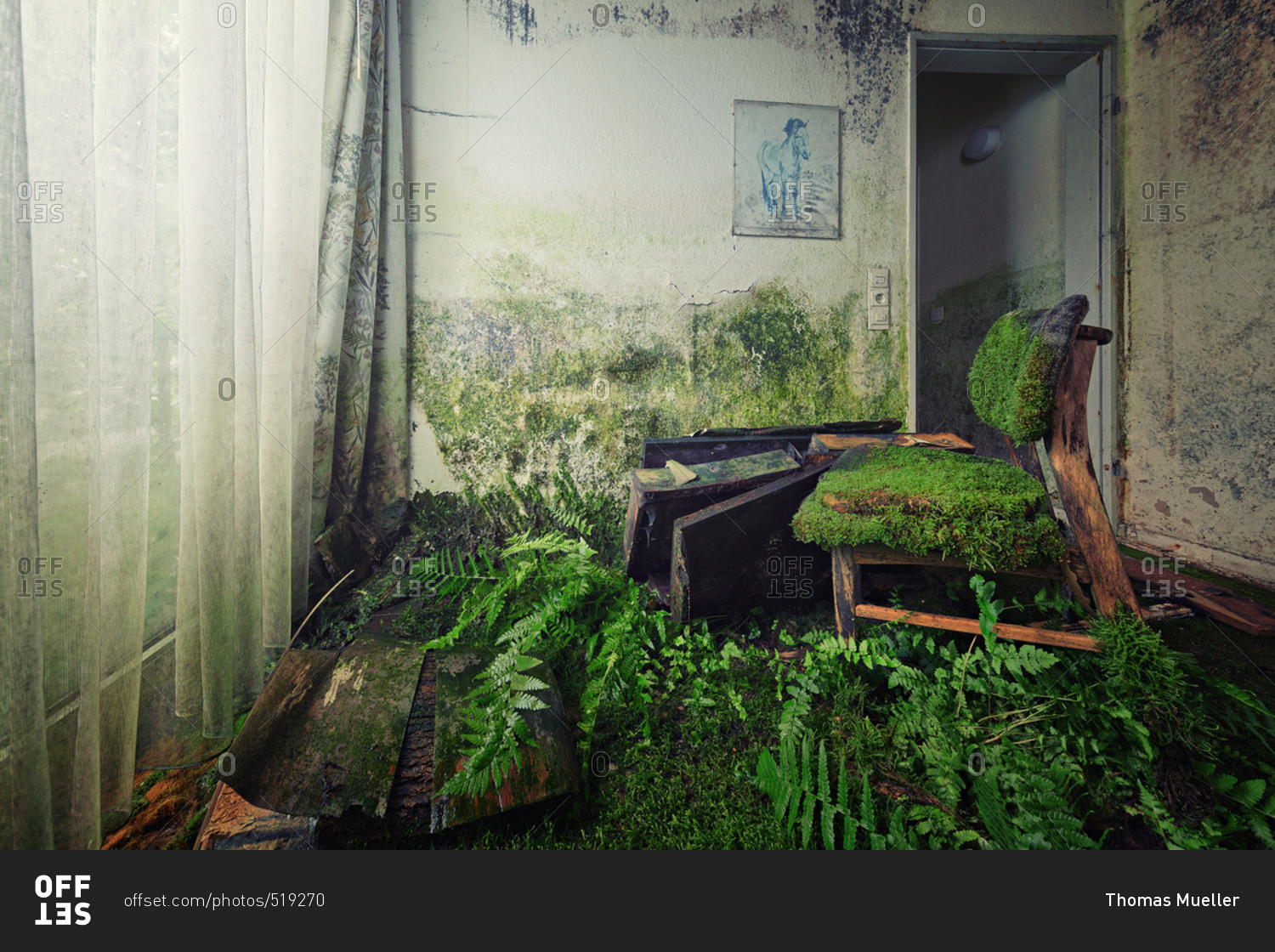 Moss covered chair in abandoned house with ferns growing from the floor