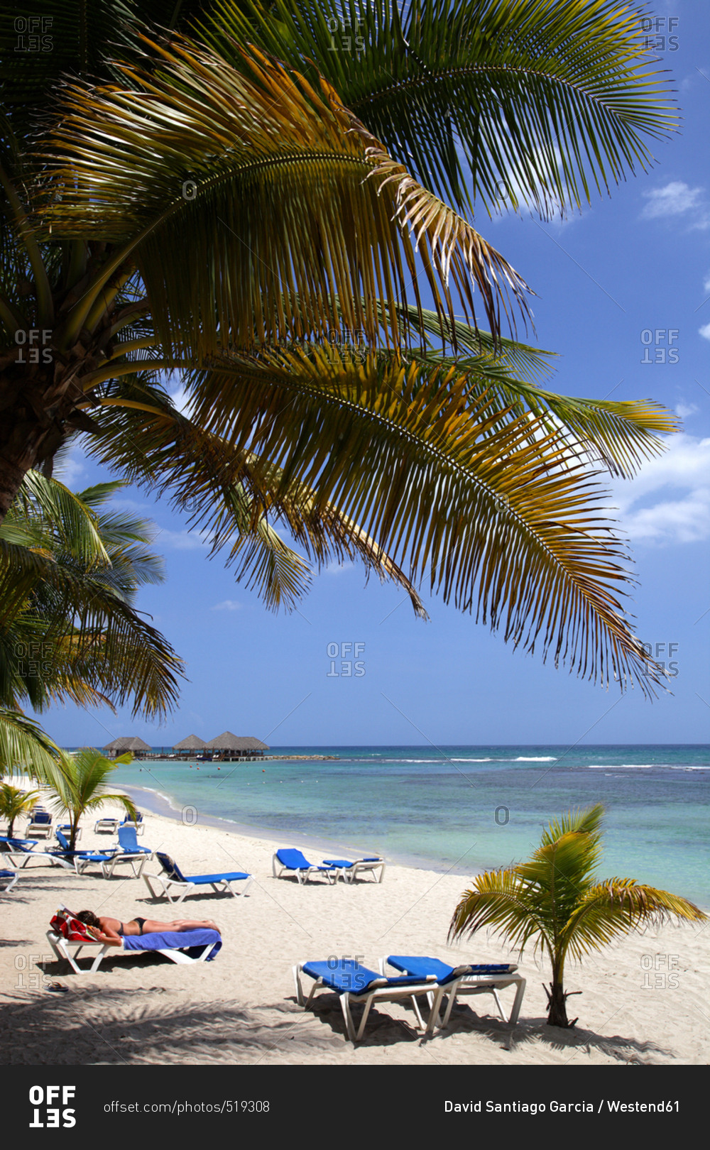 Caribbean- Dominican Republic- palm beach and sun loungers