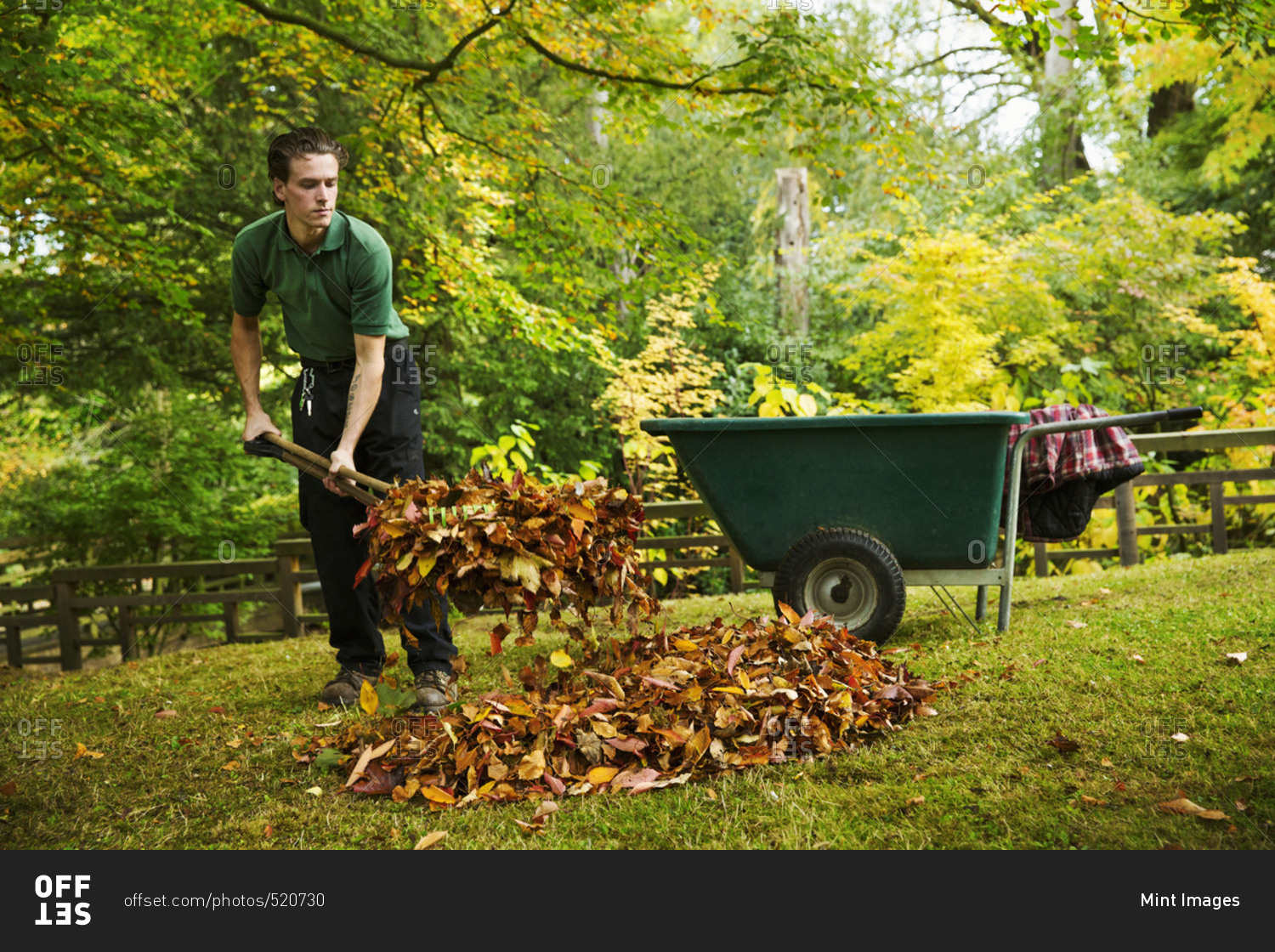 A gardener using a leaf blower to clear up autumn leaves in a garden ...