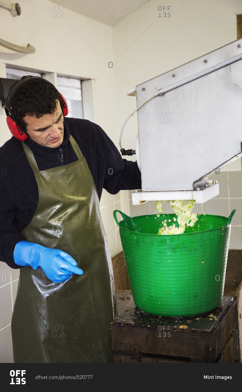 A man in apron and ear defenders watching the crushed apples coming out of the scatter machine into a bucket.