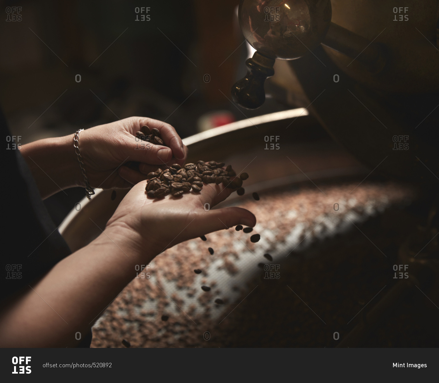 A coffee shop. A person holding a handful of fresh coffee beans.