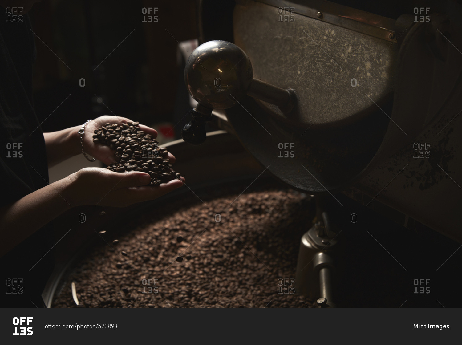 A coffee shop. A person holding a handful of fresh roasted beans above a metal drum full of coffee beans.