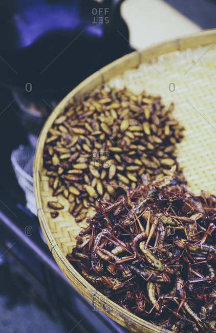 The Damnoen Saduak Floating Market, a tray of fried grasshoppers and larva for sale at floating market