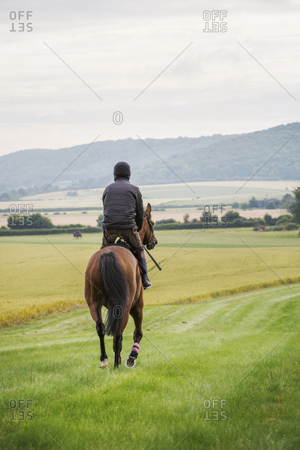 Rear view of a man riding a bay horse across a field along a grass ride in a field.