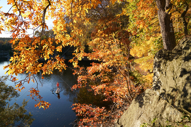 A fifteen year old paddles his SUP through brilliant Fall foliage on the Widewater section of the C&O Canal.