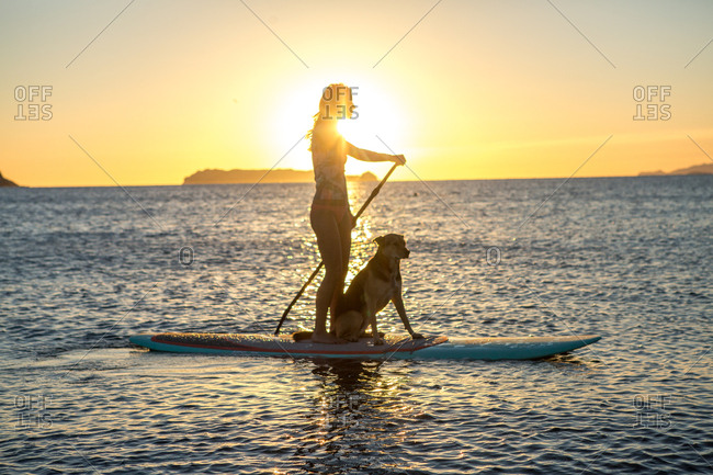 A girl takes her dog paddle boarding in Baja.