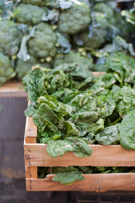 Green leafy vegetables at a market, Syracuse, Italy