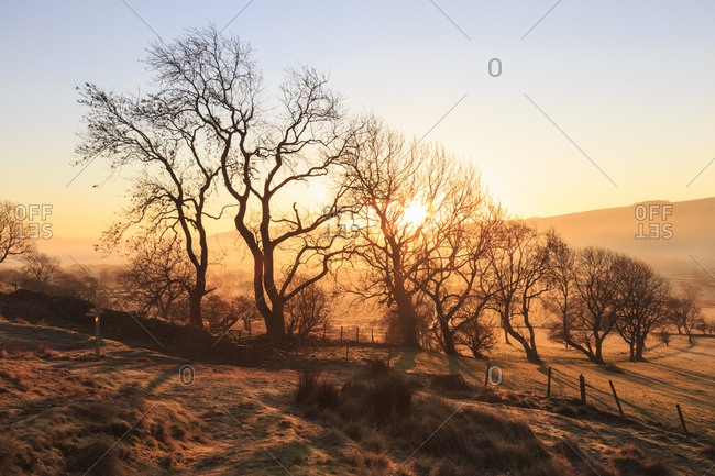 Misty and frosty sunrise with a copse of trees in winter, Castleton, Peak District National Park, Hope Valley, Derbyshire, England, United Kingdom, Europe