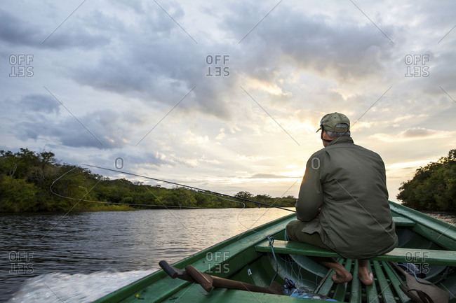 Amazon Forest Brazil stock photos - OFFSET