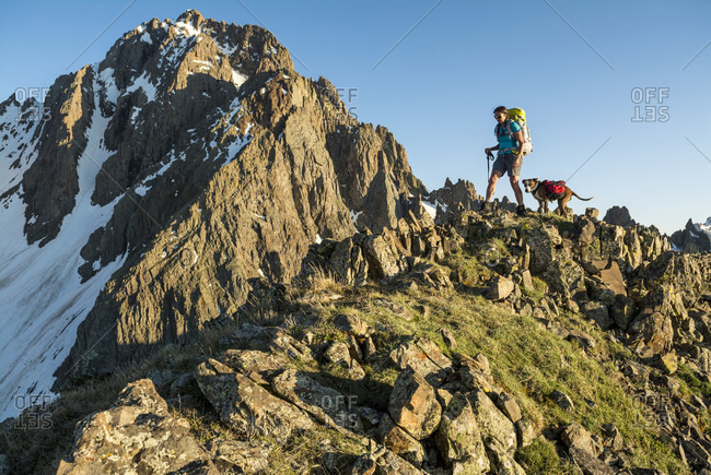 are dogs allowed in mount sneffels