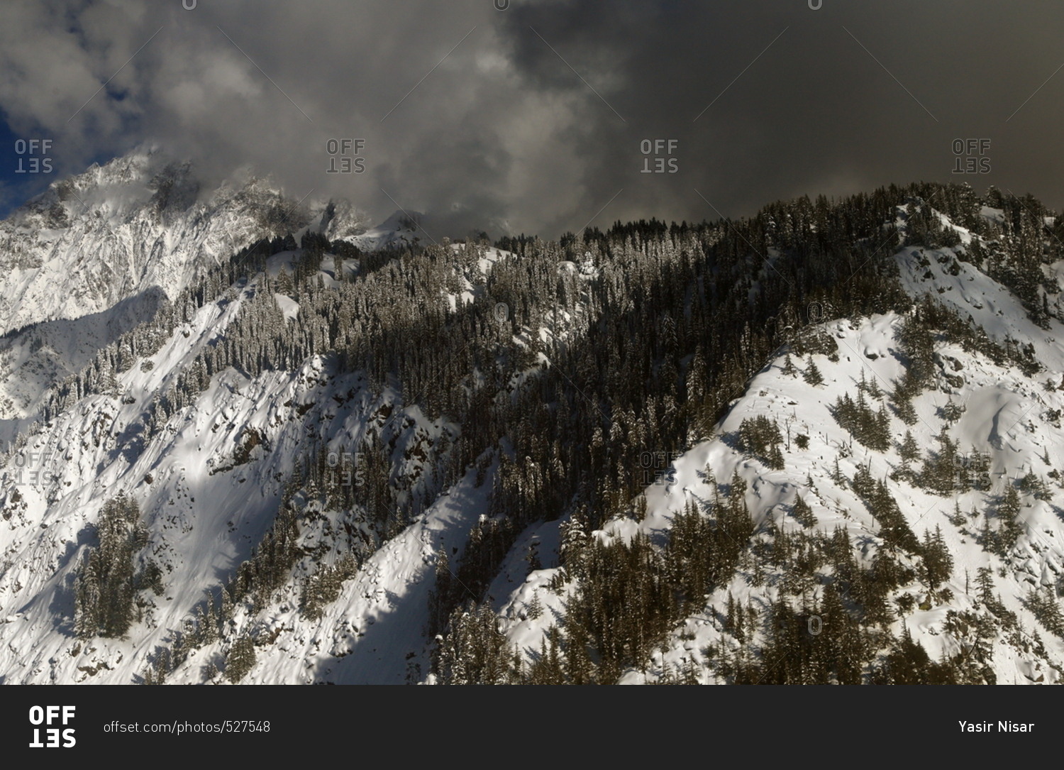 Snowy mountain forests in cloud cover
