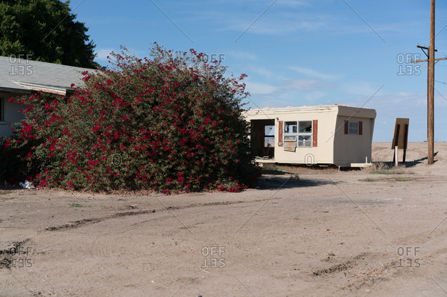 Winterhaven, California  - January 14, 2017: An abandoned trailer and flower bush in the California desert