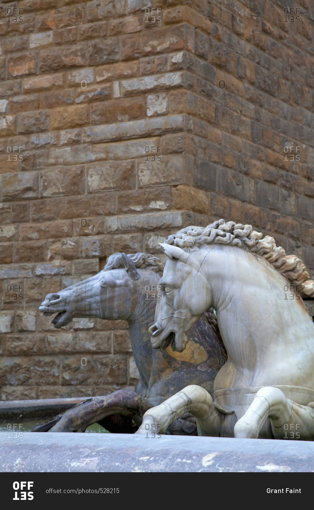Horses in a fountain in the town square, Florence, Italy